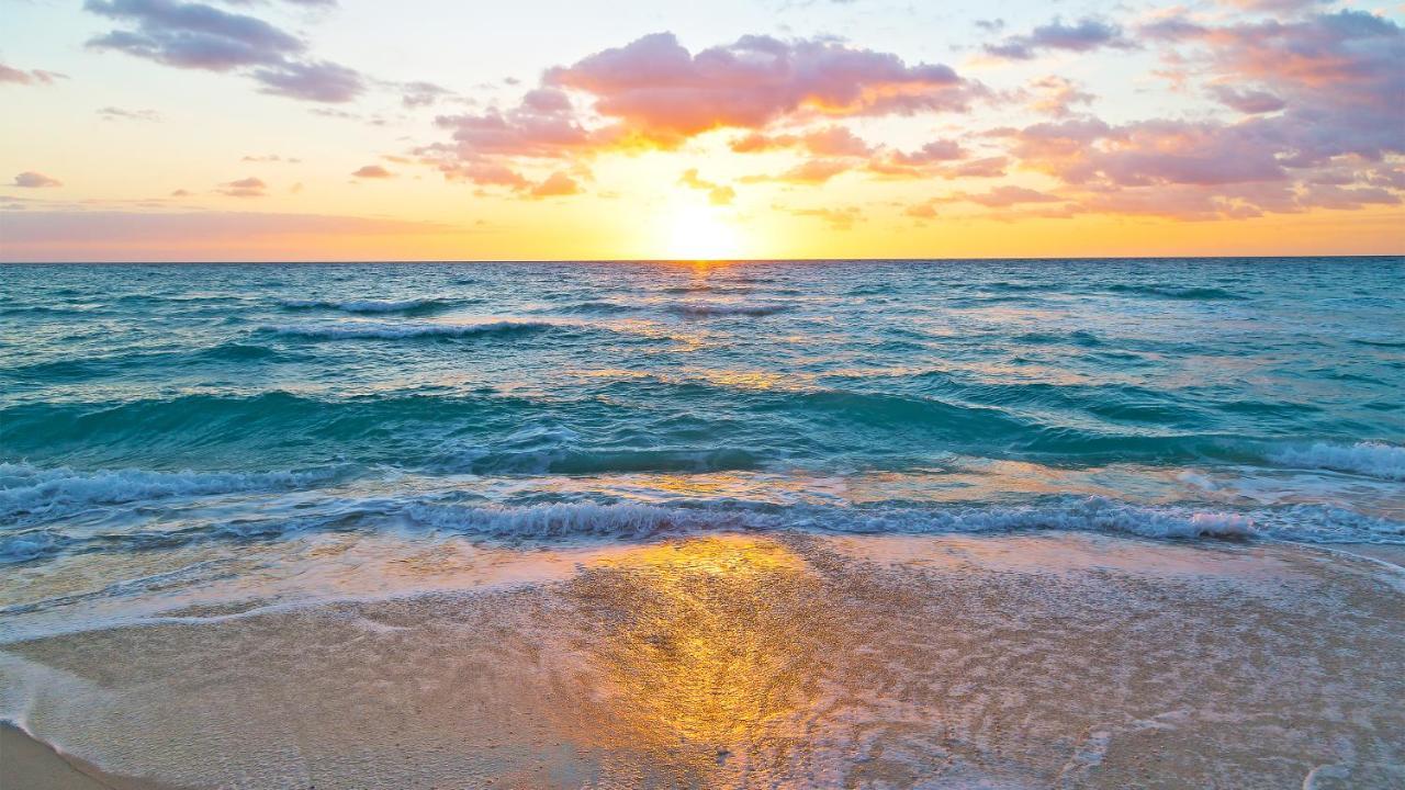 Budget Friendly Condo Within Walking Distance To The Beach! Gulf Shores Dış mekan fotoğraf
